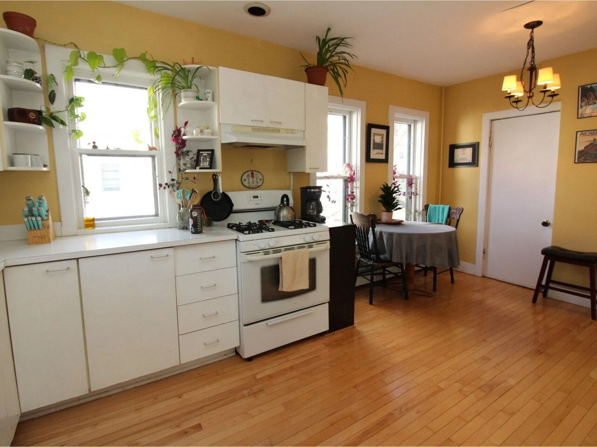 35 Converse Court Burlington VT 05401