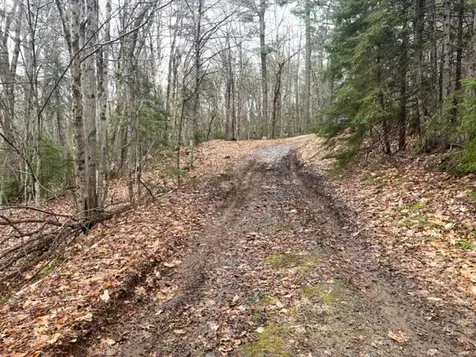 25 Burke Lane Alstead NH 03602