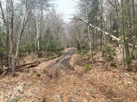 25 Burke Lane Alstead NH 03602