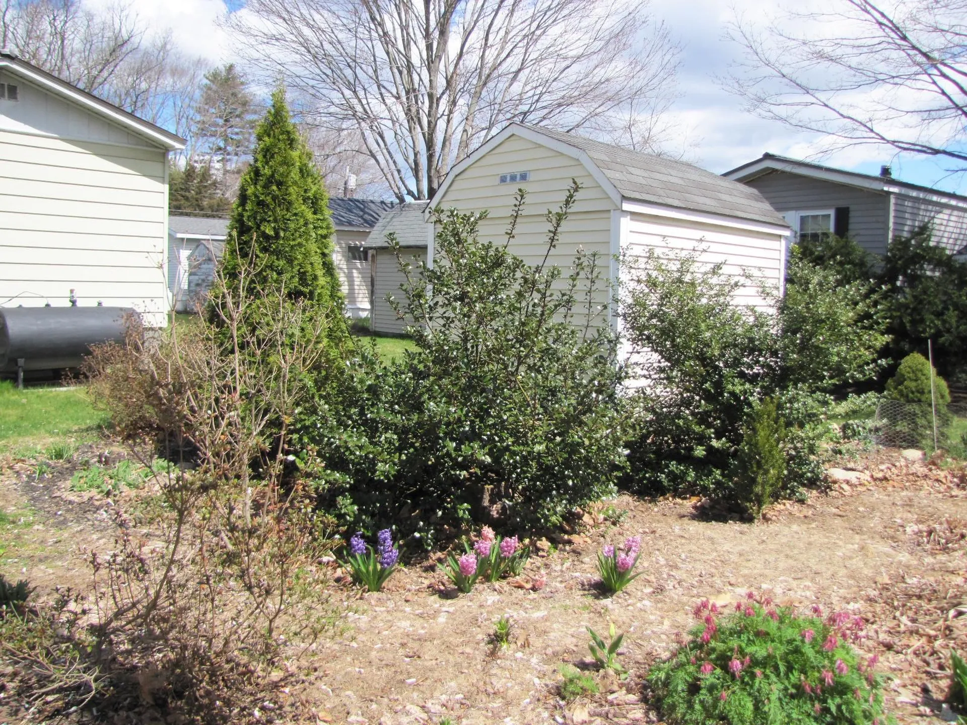 13 Vincent Street Exeter NH 03833