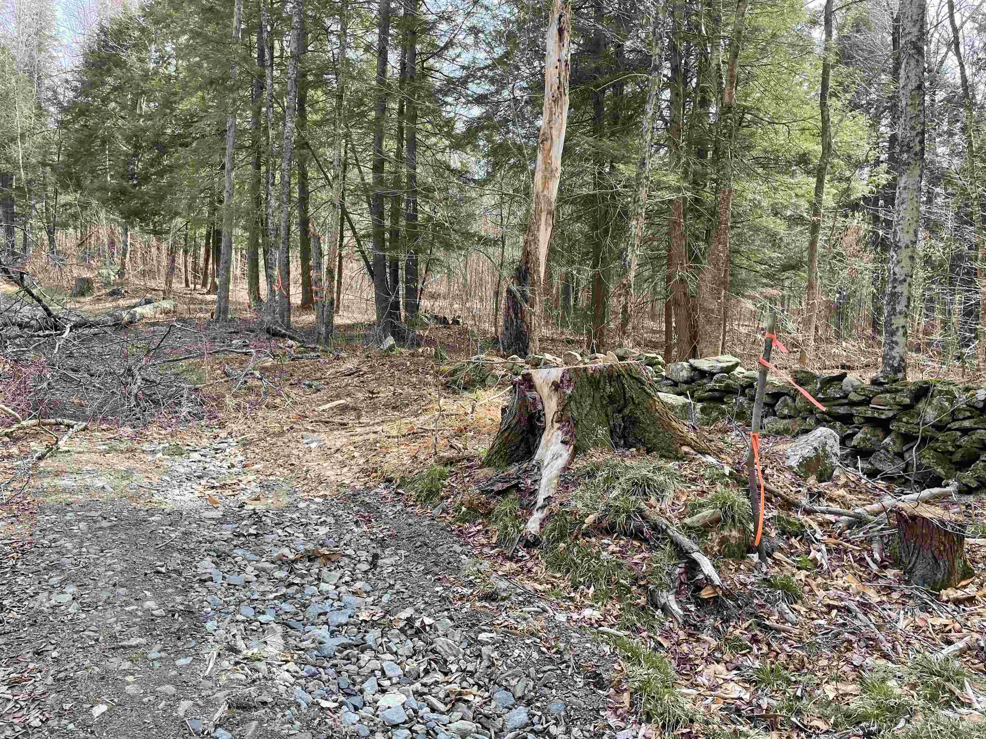 N Lamphear Road Jamaica VT 05343