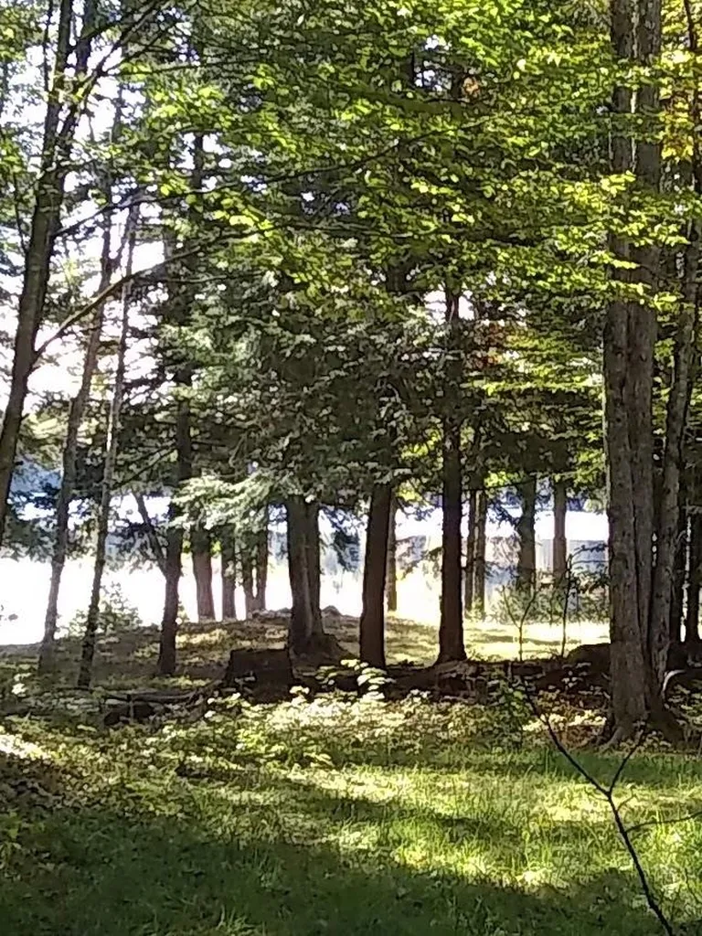 149 Wolfeboro Road Hanover NH 03755