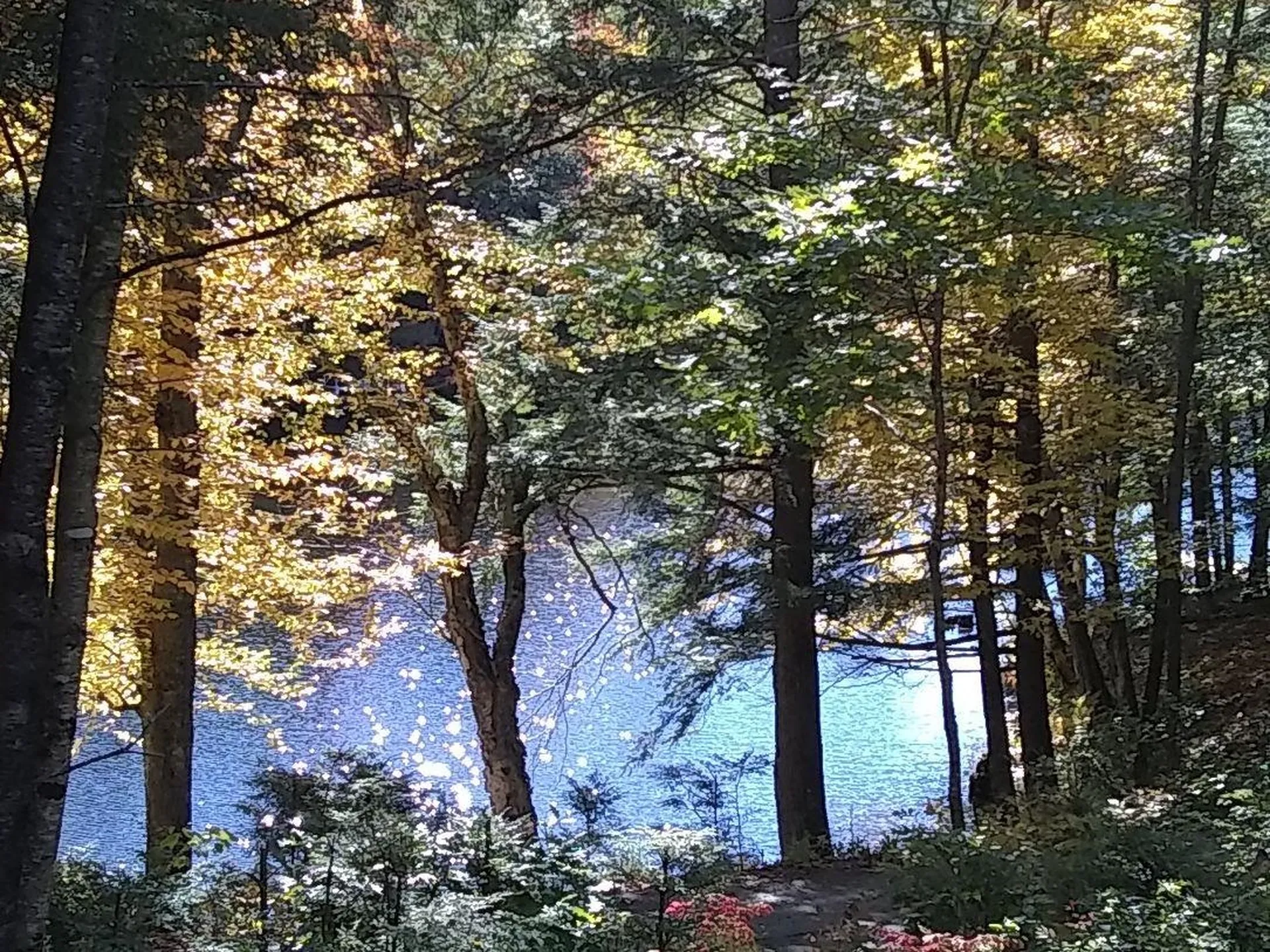 149 Wolfeboro Road Hanover NH 03755