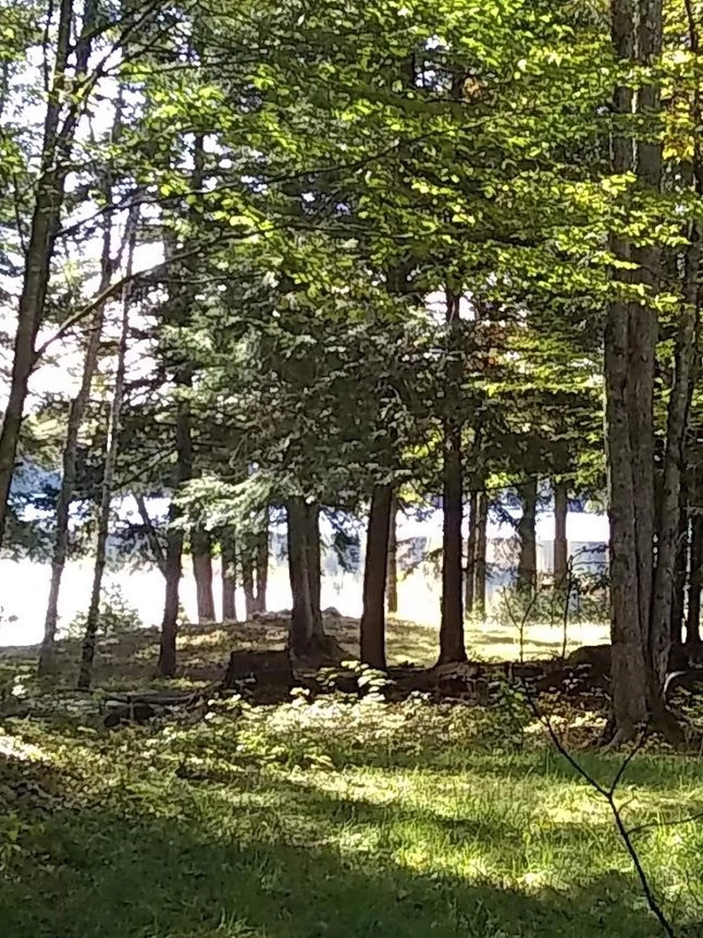 149 Wolfeboro Road Hanover NH 03755