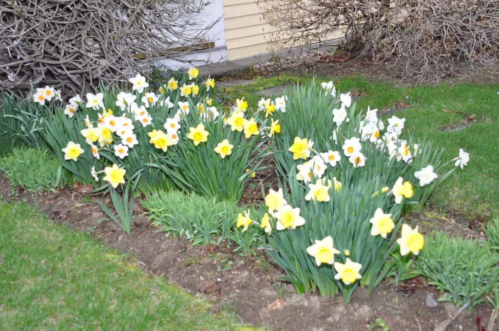 22 Wyman Road Loudon NH 03307