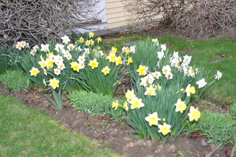 22 Wyman Road Loudon NH 03307