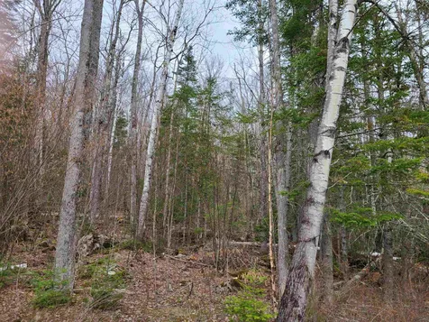 Lot 30 Timber Lane Franconia NH 03580