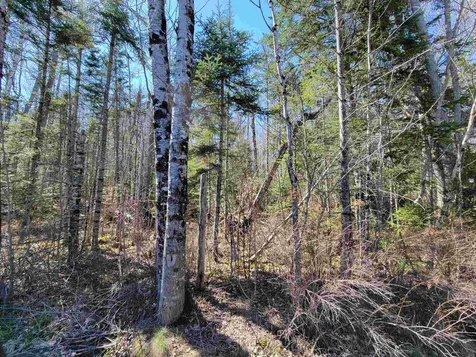 Lot 30 Timber Lane Franconia NH 03580