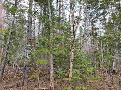 Lot 30 Timber Lane Franconia NH 03580