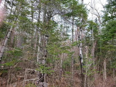 Lot 30 Timber Lane Franconia NH 03580