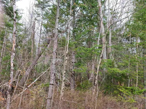 Lot 30 Timber Lane Franconia NH 03580