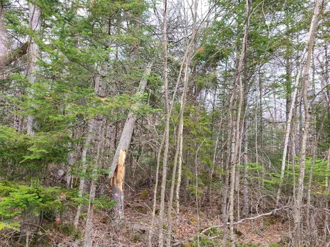 Lot 30 Timber Lane Franconia NH 03580