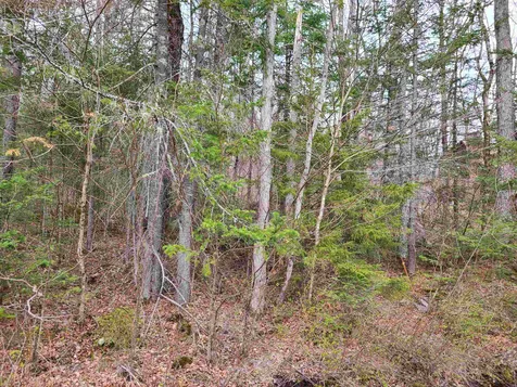 Lot 30 Timber Lane Franconia NH 03580