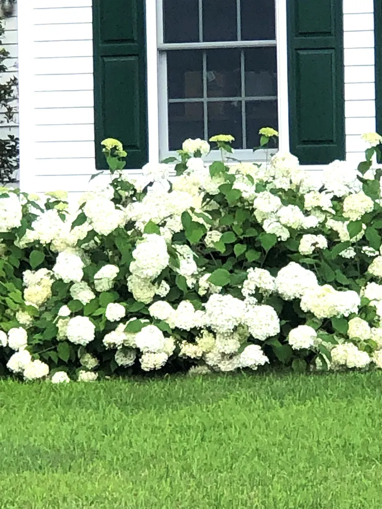 14 Coburn Terrace Lebanon NH 03784