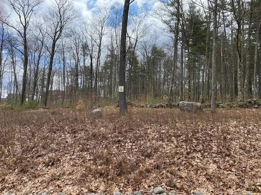 23 Dead Reckoning Point Laconia NH 03246