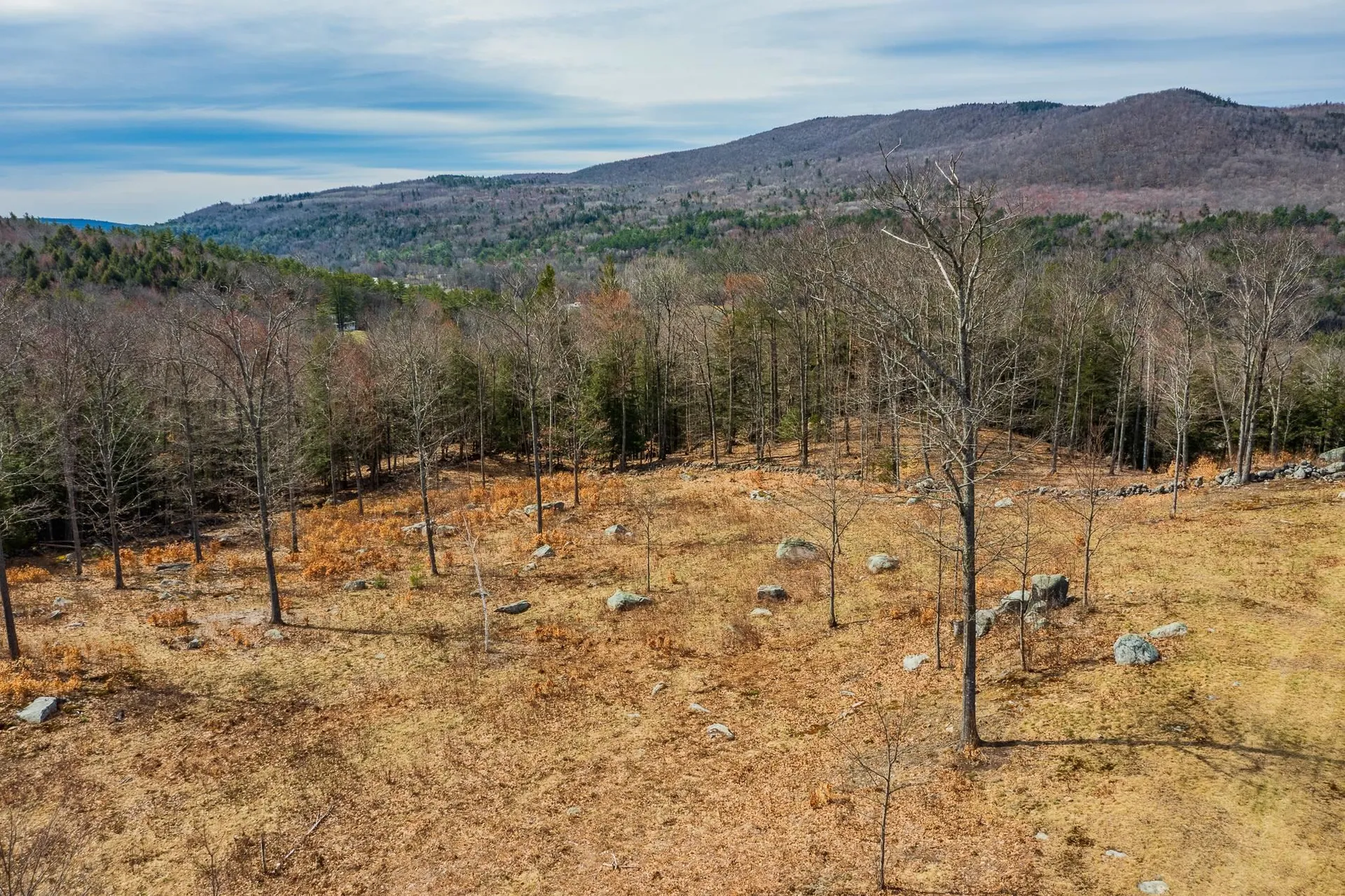 0 Renie Lane Enfield NH 03748