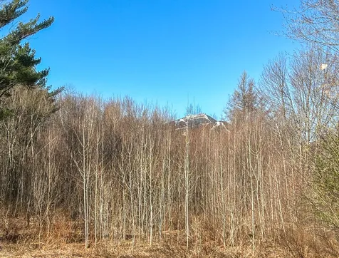 645 Belle Vista Road Jay VT 05859
