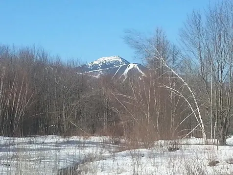 645 Belle Vista Road Jay VT 05859