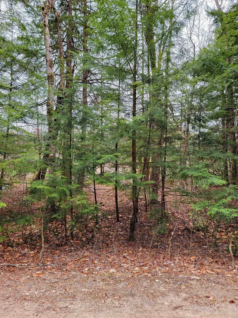 26 Lakeview Terrace Washington NH 03280