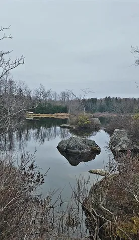26 Lakeview Terrace Washington NH 03280