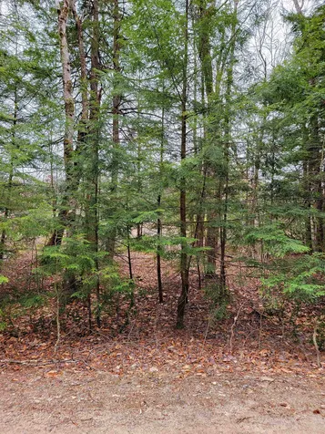 26 Lakeview Terrace Washington NH 03280