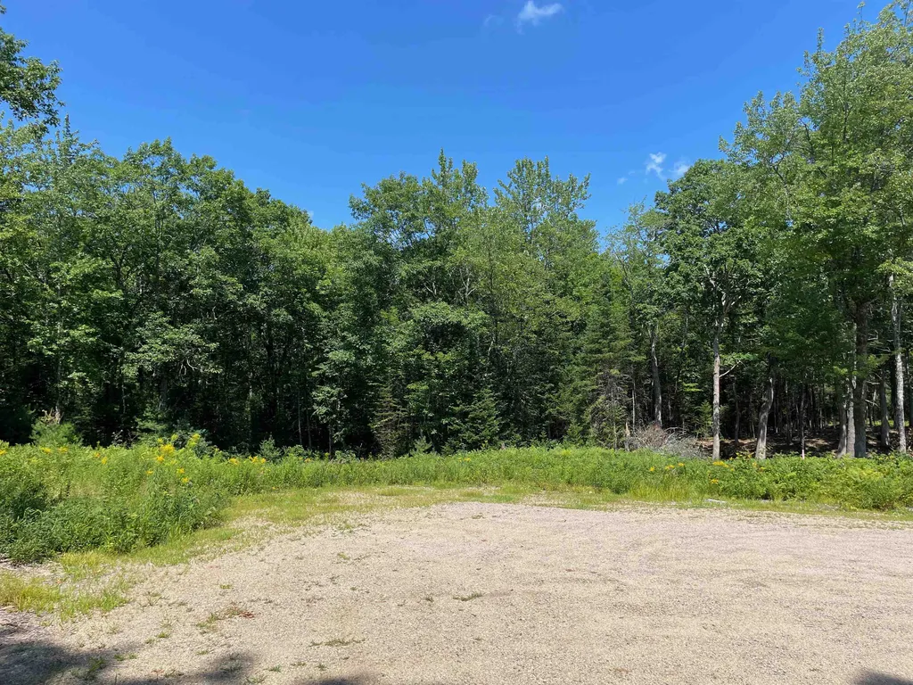 Lot 52 Remington Court Tuftonboro NH 03816