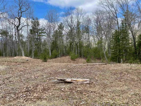 Lot 52 Remington Court Tuftonboro NH 03816