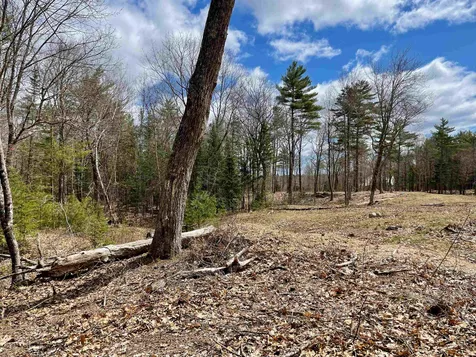 Lot 52 Remington Court Tuftonboro NH 03816