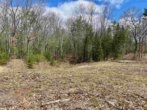 Lot 52 Remington Court Tuftonboro NH 03816