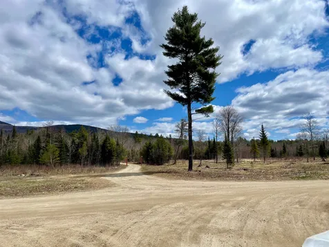 Lot 52 Remington Court Tuftonboro NH 03816