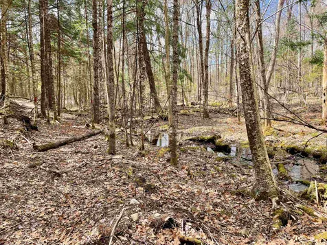 Lot 52 Remington Court Tuftonboro NH 03816
