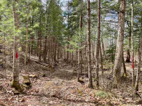 Lot 52 Remington Court Tuftonboro NH 03816