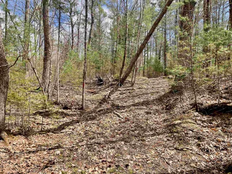 Lot 52 Remington Court Tuftonboro NH 03816