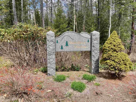 Lot 52 Remington Court Tuftonboro NH 03816
