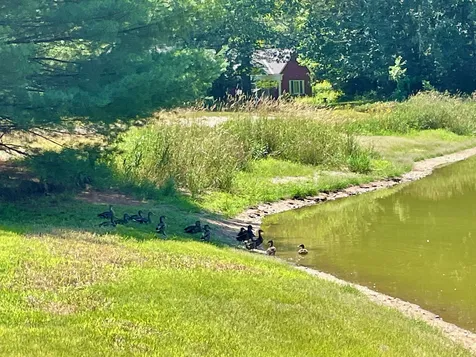 Lot 52 Remington Court Tuftonboro NH 03816