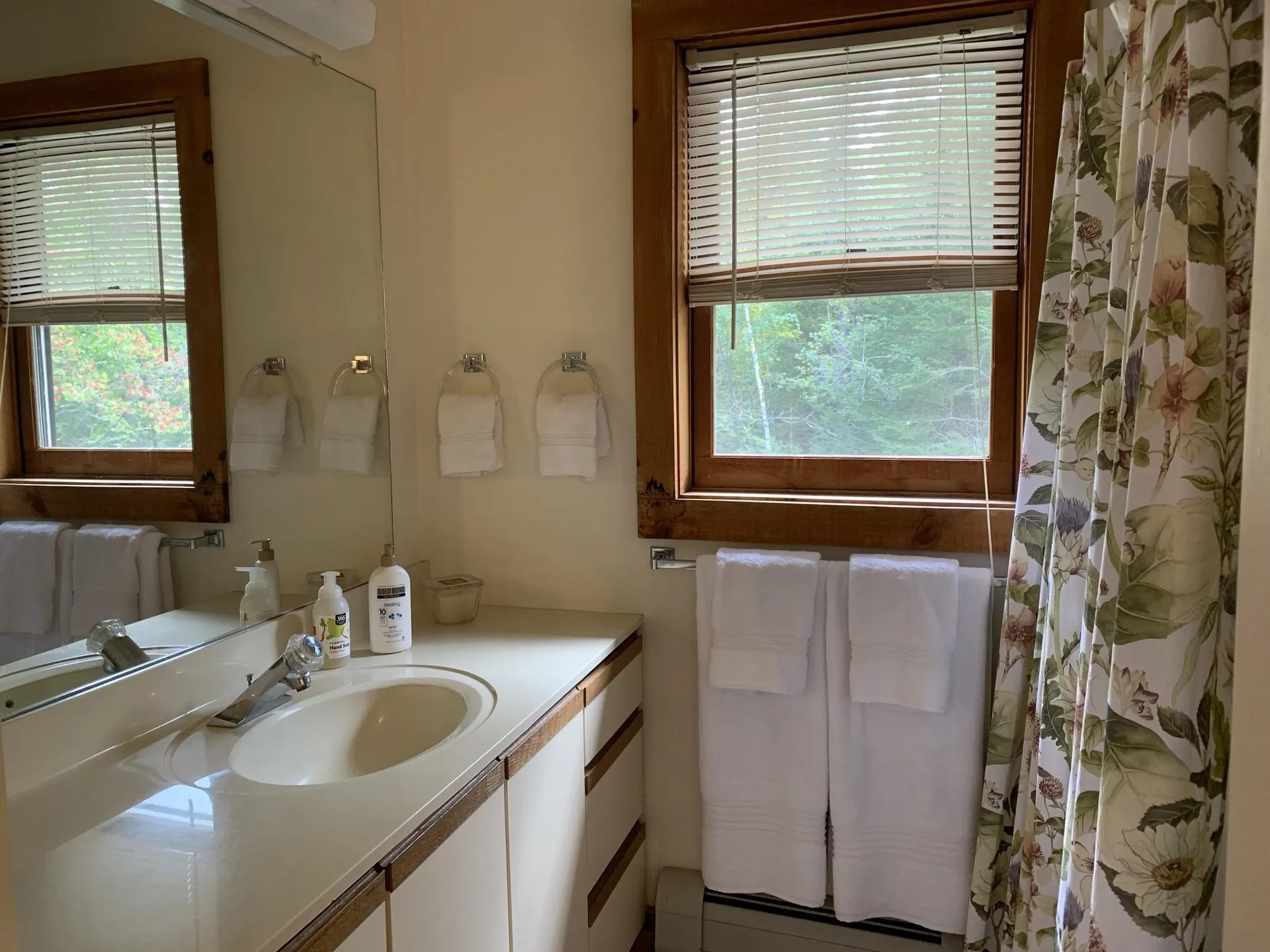 191 Forest Mountain Road Peru VT 05152
