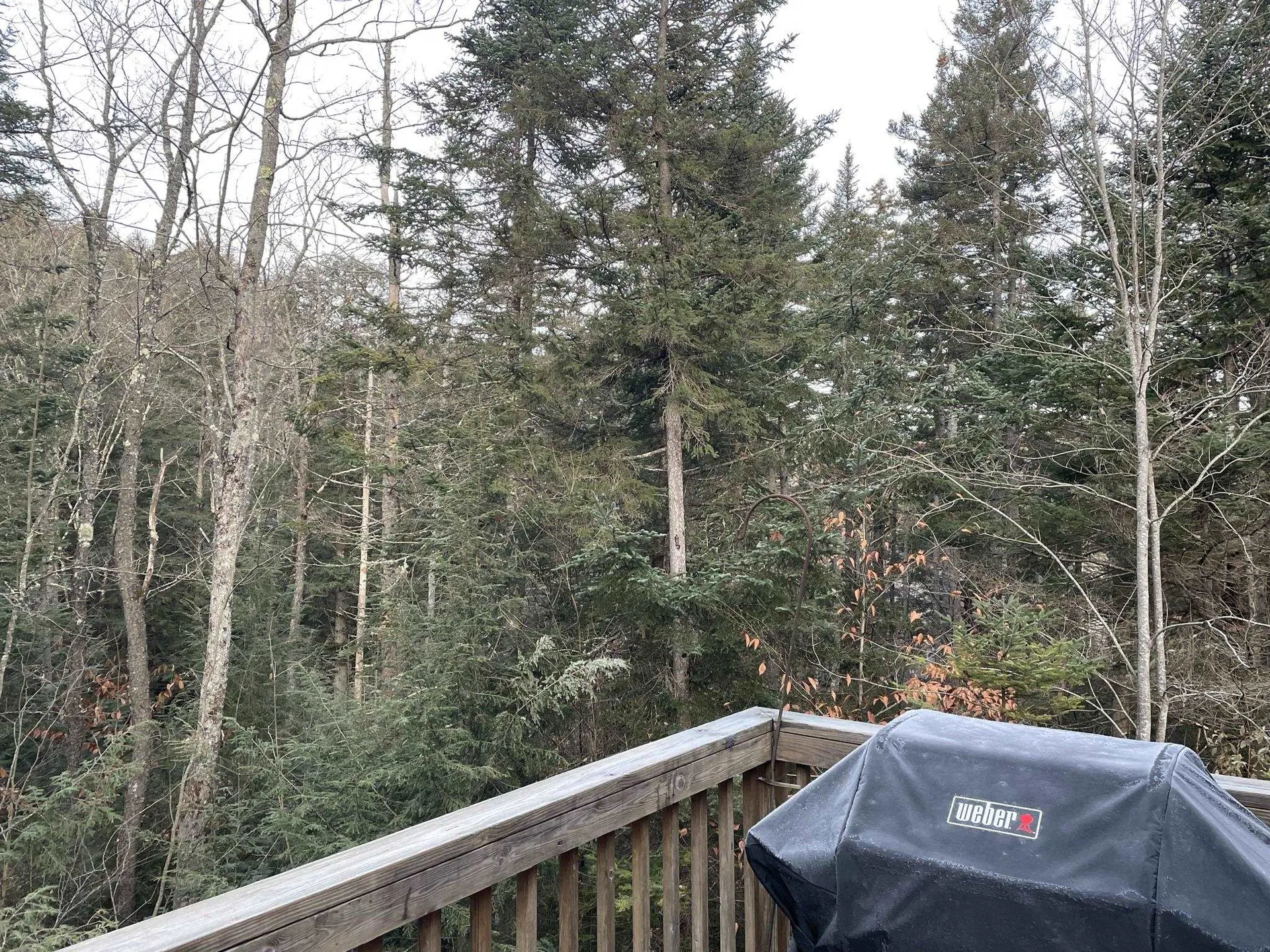 191 Forest Mountain Road Peru VT 05152