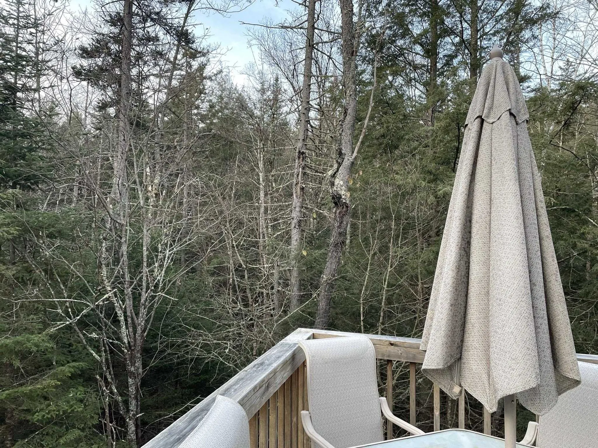 191 Forest Mountain Road Peru VT 05152