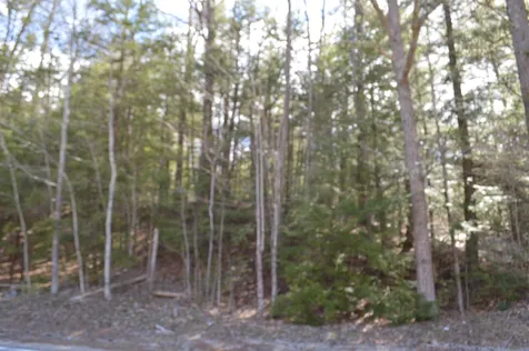 Lot 30 Mountain View Terrace Wakefield NH 03872