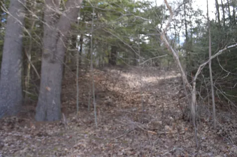 Lot 30 Mountain View Terrace Wakefield NH 03872