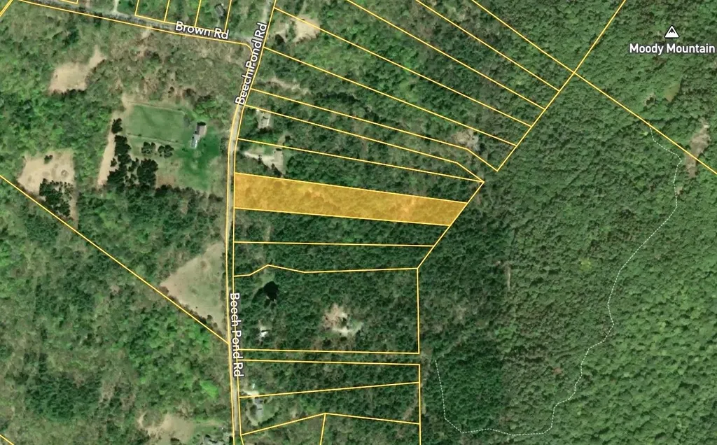 Map 20 Lot 13 Beach Pond Road Wolfeboro NH 03894