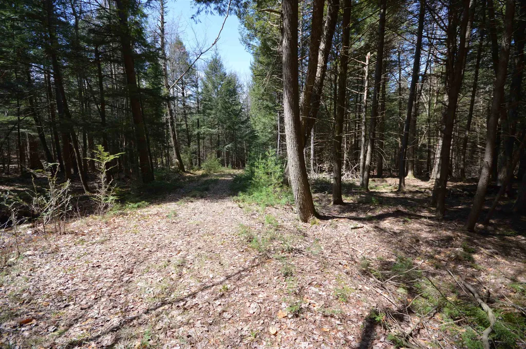 Map 20 Lot 13 Beach Pond Road Wolfeboro NH 03894