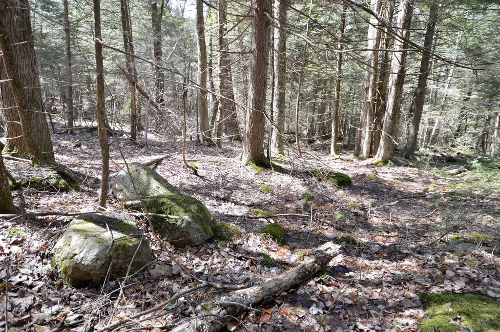 Map 20 Lot 13 Beach Pond Road Wolfeboro NH 03894