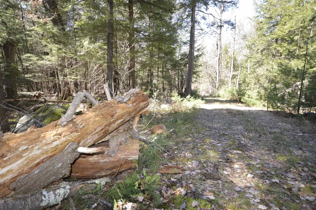 Map 20 Lot 13 Beach Pond Road Wolfeboro NH 03894