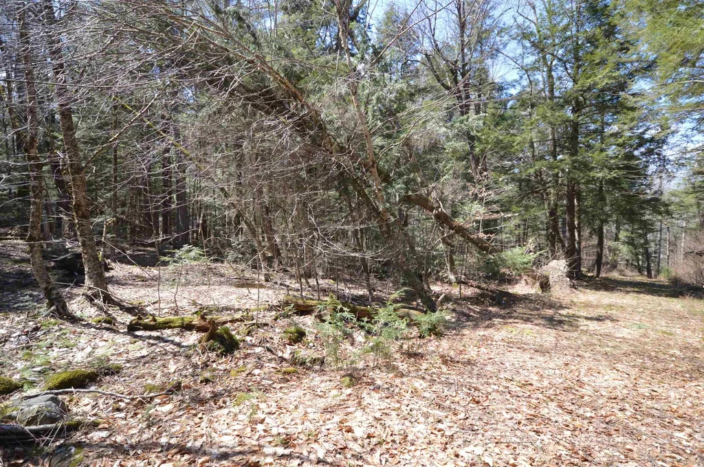 Map 20 Lot 13 Beach Pond Road Wolfeboro NH 03894
