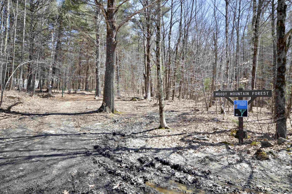 Map 20 Lot 13 Beach Pond Road Wolfeboro NH 03894