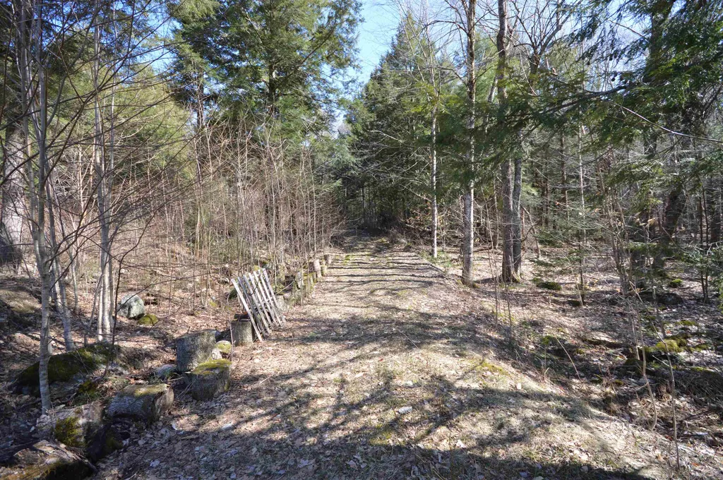 Map 20 Lot 13 Beach Pond Road Wolfeboro NH 03894