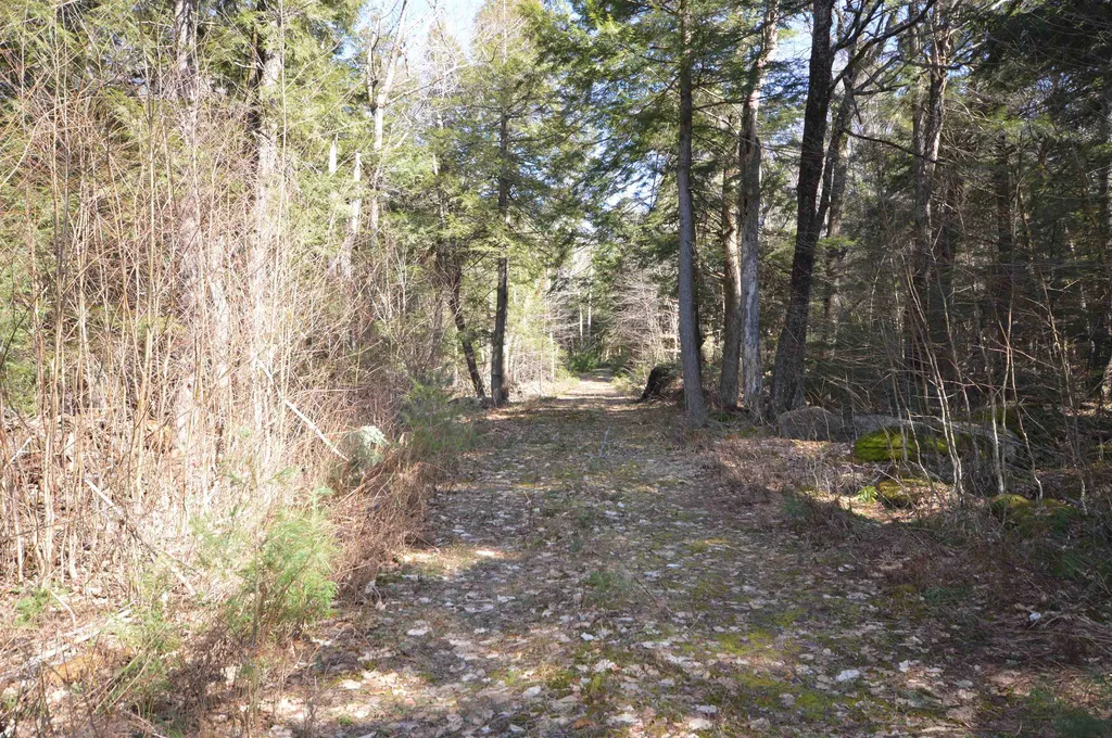 Map 20 Lot 13 Beach Pond Road Wolfeboro NH 03894