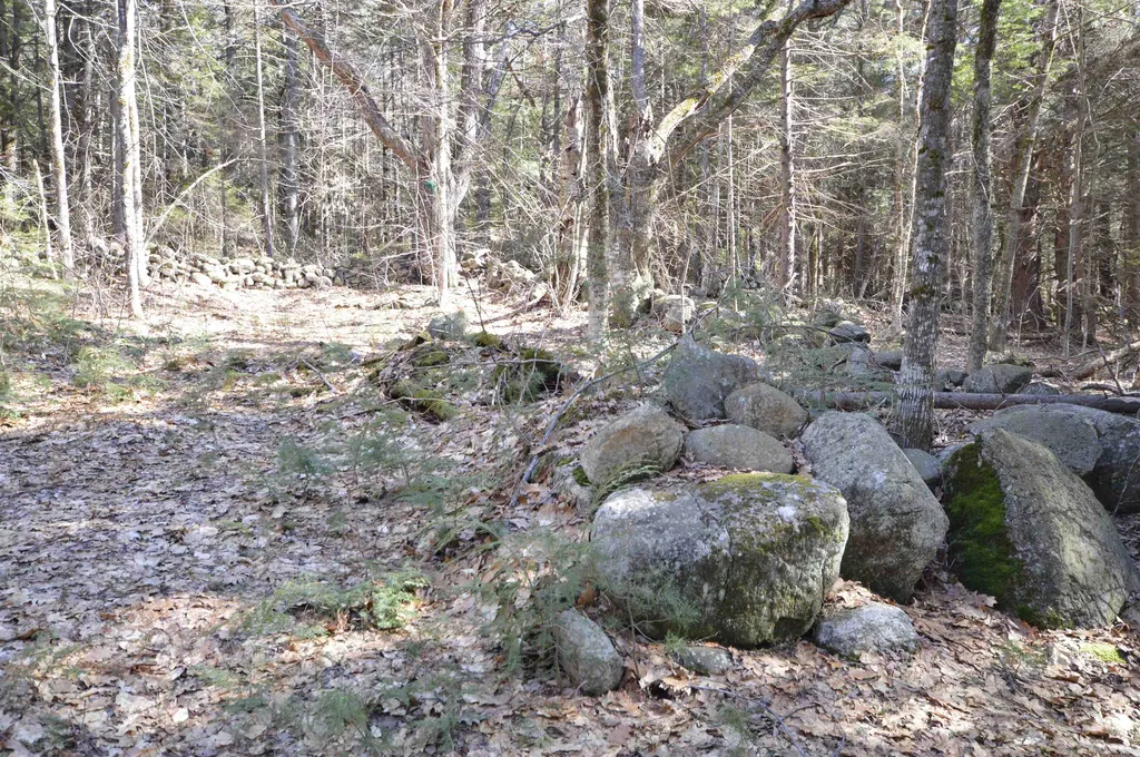 Map 20 Lot 13 Beach Pond Road Wolfeboro NH 03894