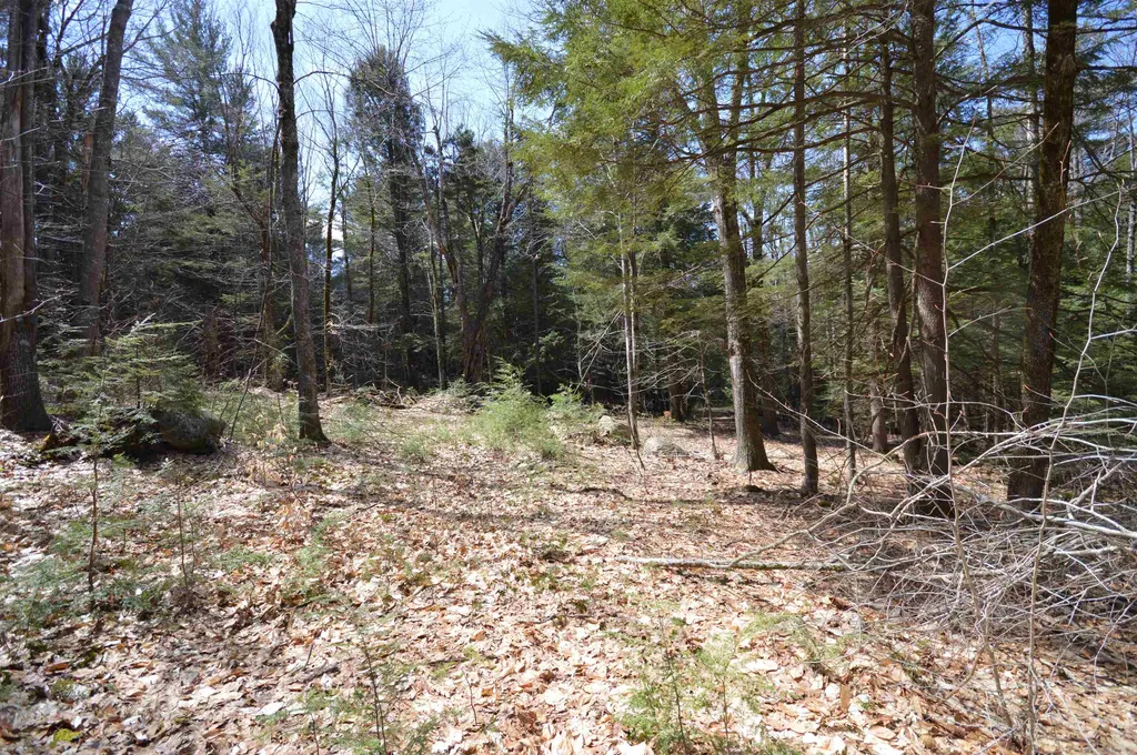 Map 20 Lot 13 Beach Pond Road Wolfeboro NH 03894